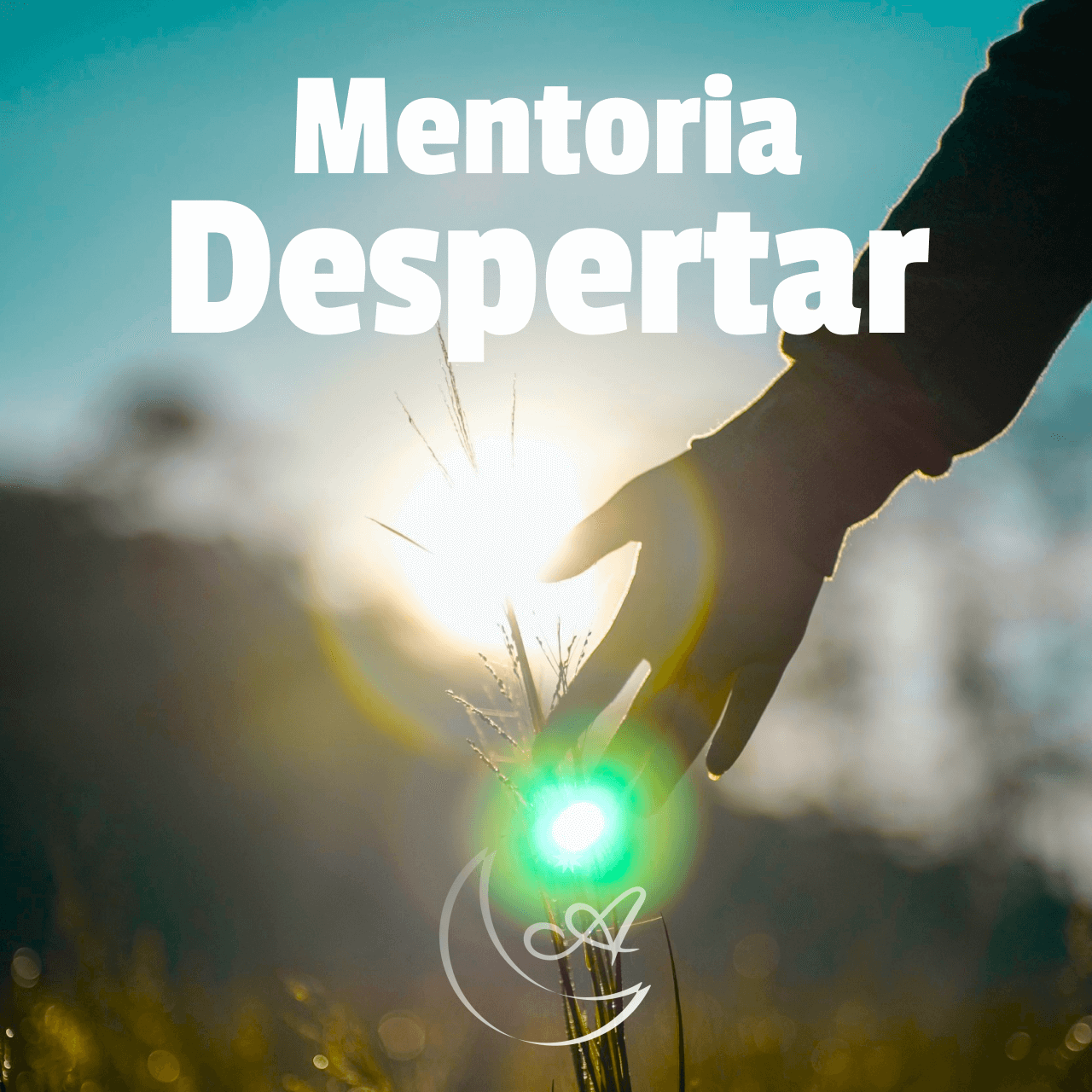 Mentoria Despertar